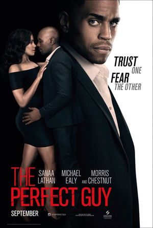 The Perfect Guy's poster