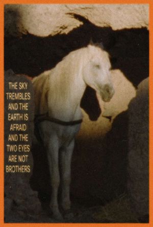The Sky Trembles and the Earth Is Afraid and the Two Eyes Are Not Brothers's poster