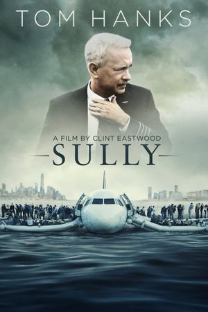 Sully's poster