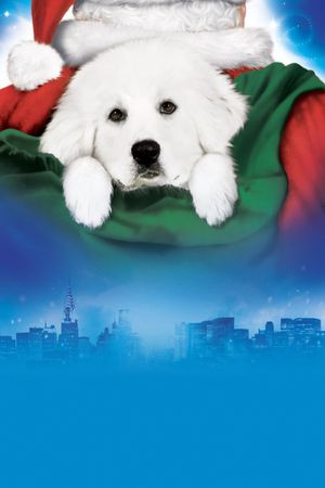 The Search for Santa Paws's poster