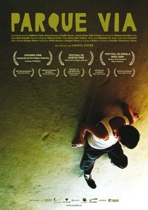 Parque vía's poster