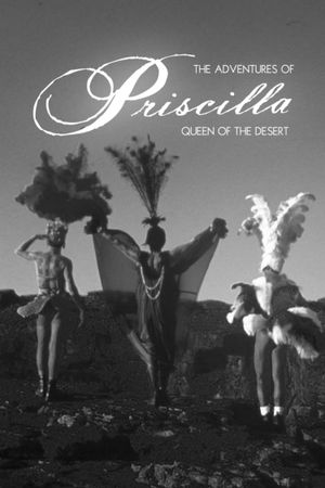 The Adventures of Priscilla, Queen of the Desert's poster