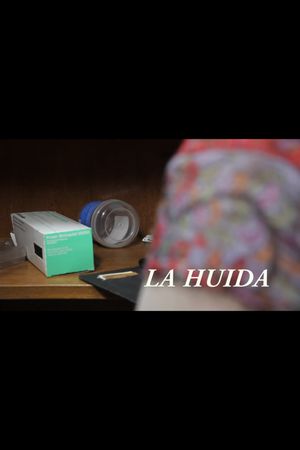 La huida's poster