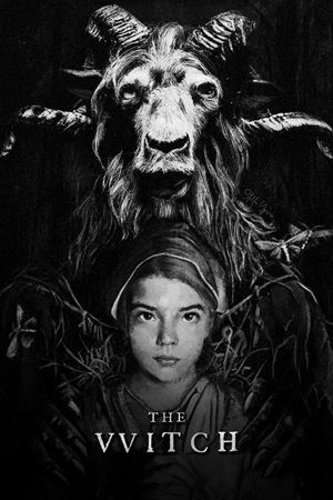 The Witch's poster