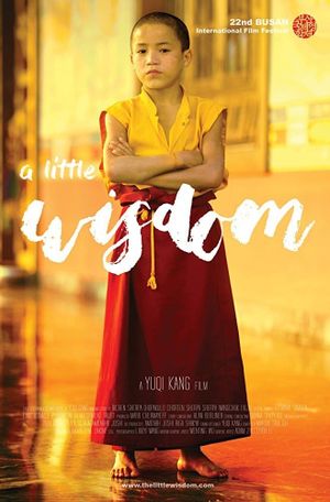 A Little Wisdom's poster image