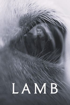 Lamb's poster