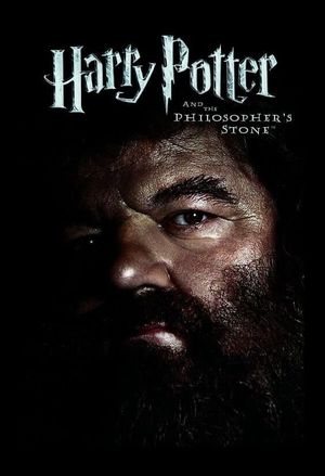 Harry Potter and the Sorcerer's Stone's poster