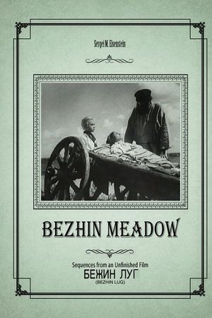 Bezhin Meadow: Sequences from an Unfinished Film's poster