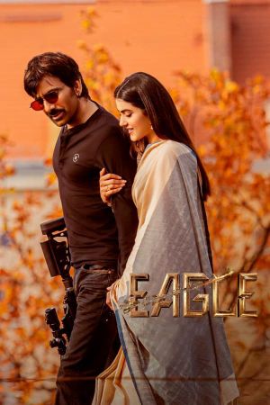 Eagle's poster