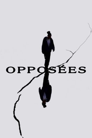 Opposites's poster