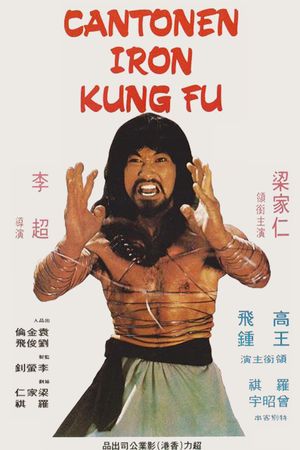 Cantonen Iron Kung Foo's poster