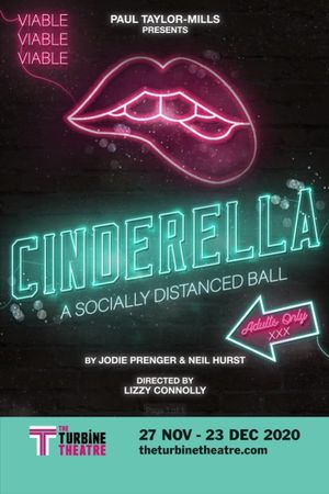 Cinderella - A Socially Distanced Ball's poster