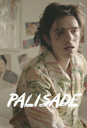 Palisade's poster