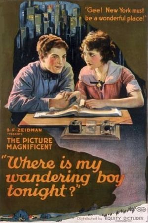 Where's My Wandering Boy Tonight?'s poster