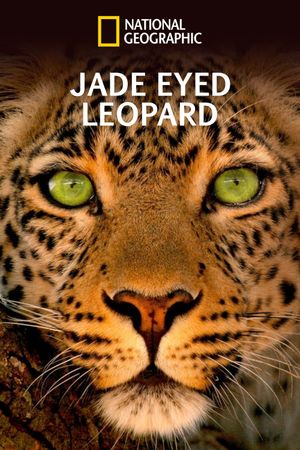 Jade Eyed Leopard's poster