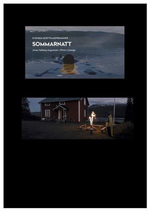 Midsummer Night's poster