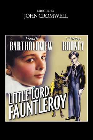 Little Lord Fauntleroy's poster