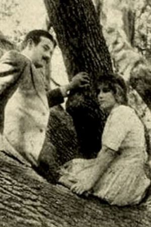 The Girl of the Grove's poster image