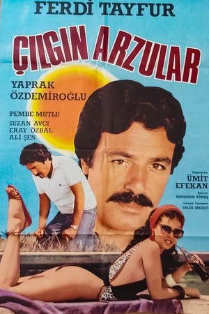 Çilgin Arzular's poster