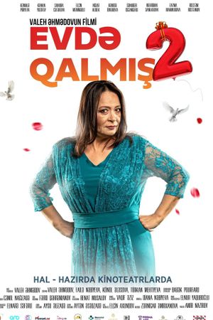 Spinster 2's poster