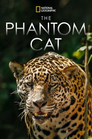 The Phantom Cat: Jaguar's poster