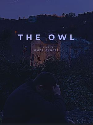 The Owl's poster image