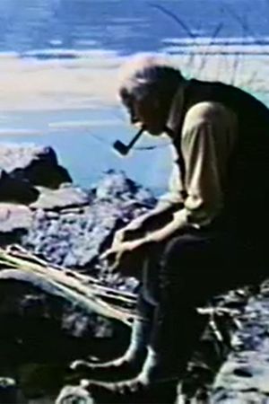 Carl G. Jung or Lapis Philosophorum's poster