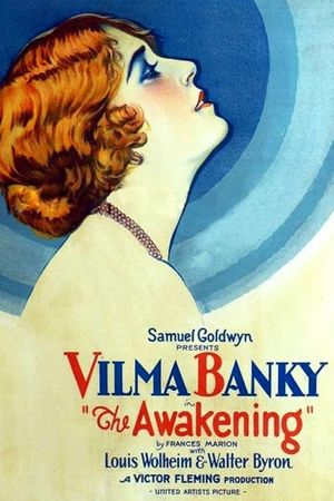 The Awakening's poster