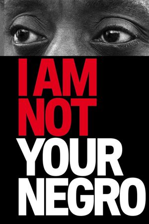 I Am Not Your Negro's poster