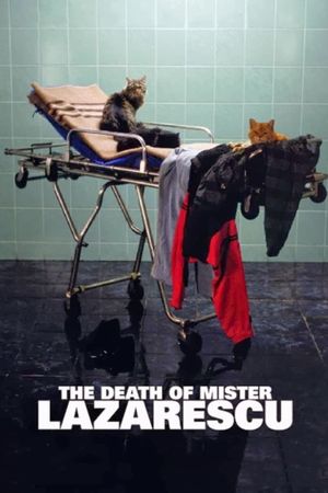 The Death of Mr. Lazarescu's poster