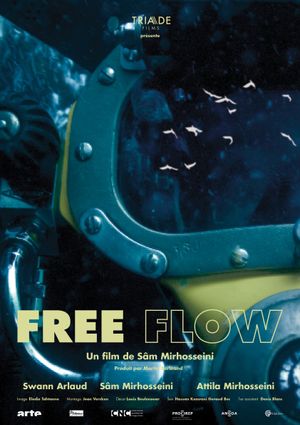 Free Flow's poster