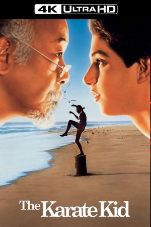 The Karate Kid's poster