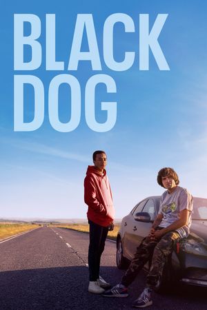 Black Dog's poster