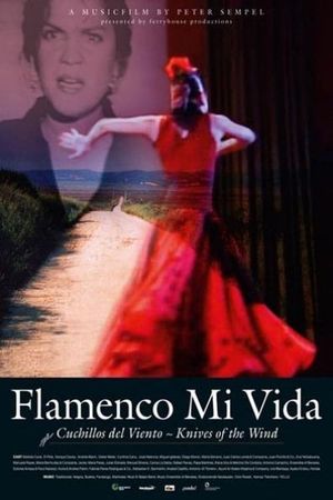 Flamenco mi vida - Knives of the wind's poster