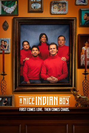 A Nice Indian Boy's poster
