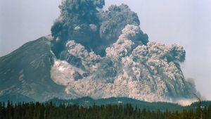 Surviving the Mount St. Helens Disaster's poster