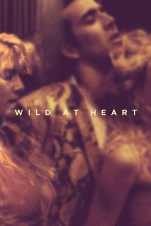 Wild at Heart's poster