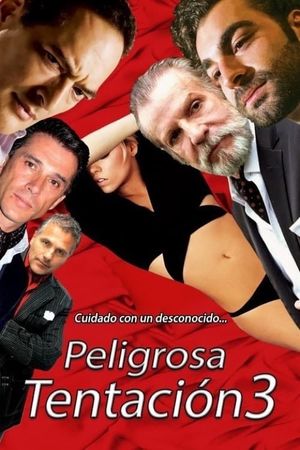 Peligrosa tentación 3's poster