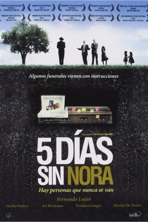Nora's Will's poster