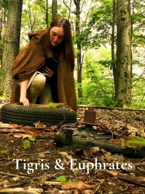 Tigris and Euphrates's poster