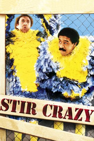 Stir Crazy's poster