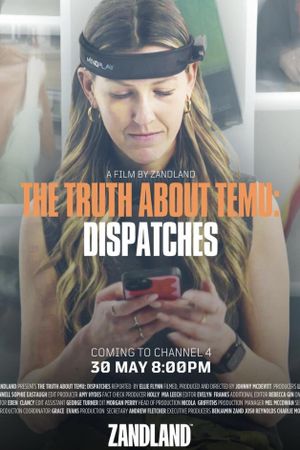 The Truth About Temu's poster