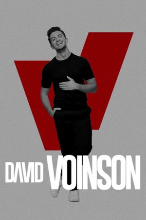 David Voinson's poster