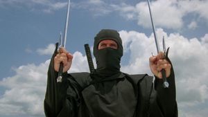 American Ninja's poster