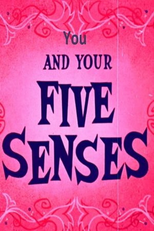 You and Your Five Senses's poster