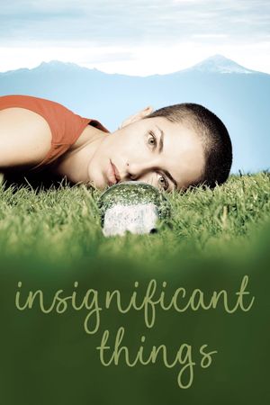 Insignificant Things's poster