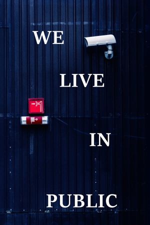We Live in Public's poster