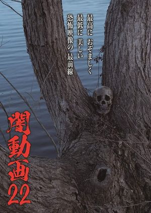 Tokyo Videos of Horror 22's poster