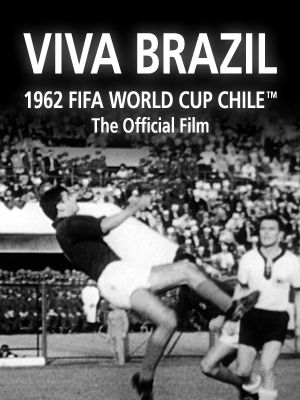 Viva Brazil's poster