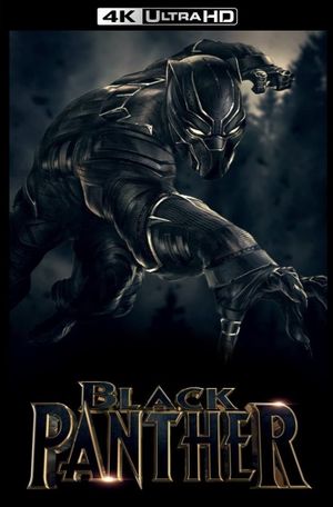 Black Panther's poster